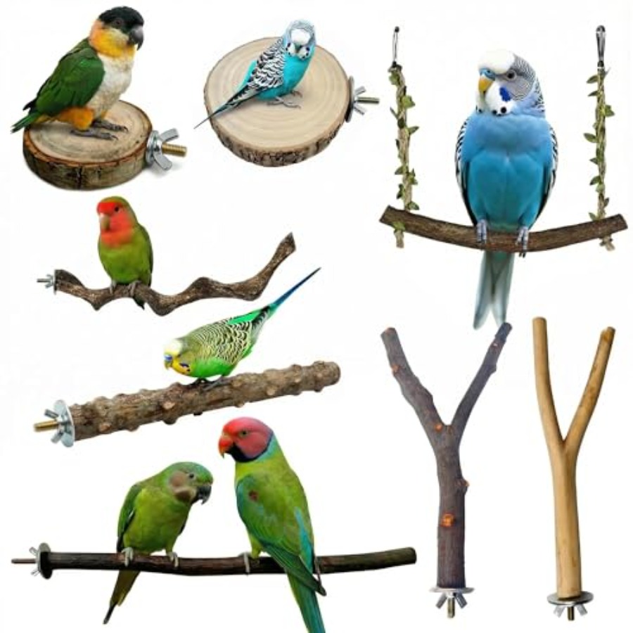 Health & Wellness For You - 8PCS natural wood bird perches for