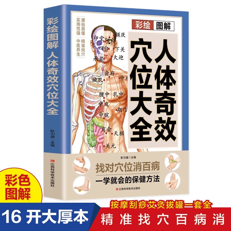 Complete Guide to Acupoint Mas - Health & Wellness For You review and price