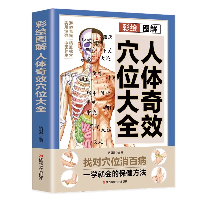 Complete Guide to Acupoint Mas - Health & Wellness For You review and price