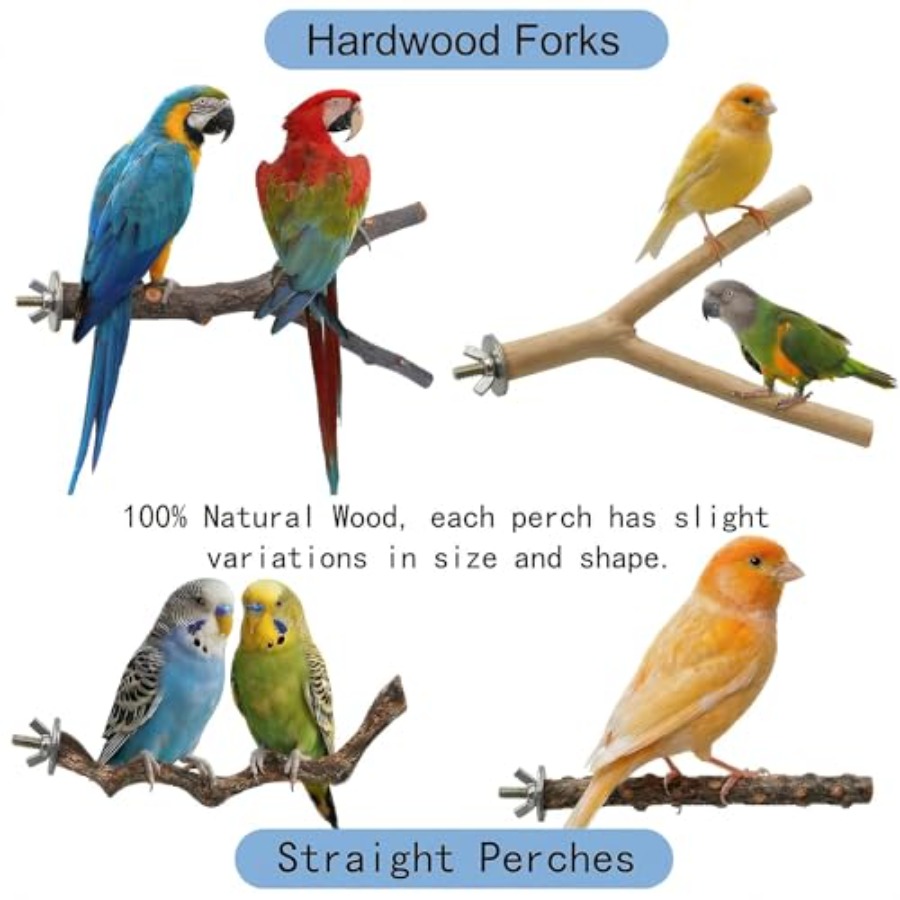 8PCS natural wood bird perches - Health & Wellness For You review and price